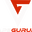 VAPEGURUPK logo